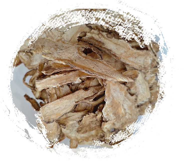 Pourquoi les plantes médicinales de la médecine traditionnelle chinoise sont-elles si puissantes&nbsp;? Explication de leurs caractéristiques.