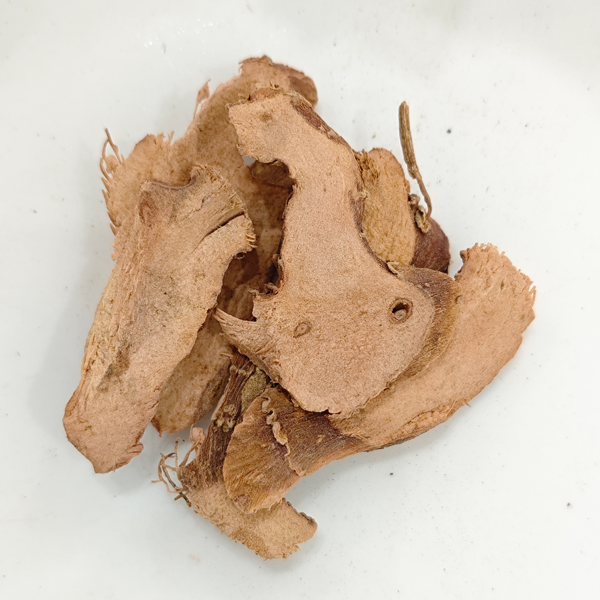 Petit galangale (Kaempferia galanga)