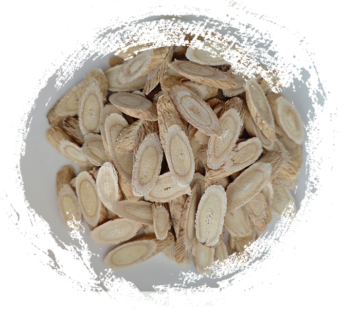 Top 10 des plantes médicinales utilisées en médecine traditionnelle chinoise (MTC)