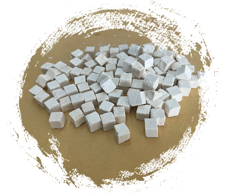 Wolfiporia extensa (un champignon responsable de la pourriture du bois)