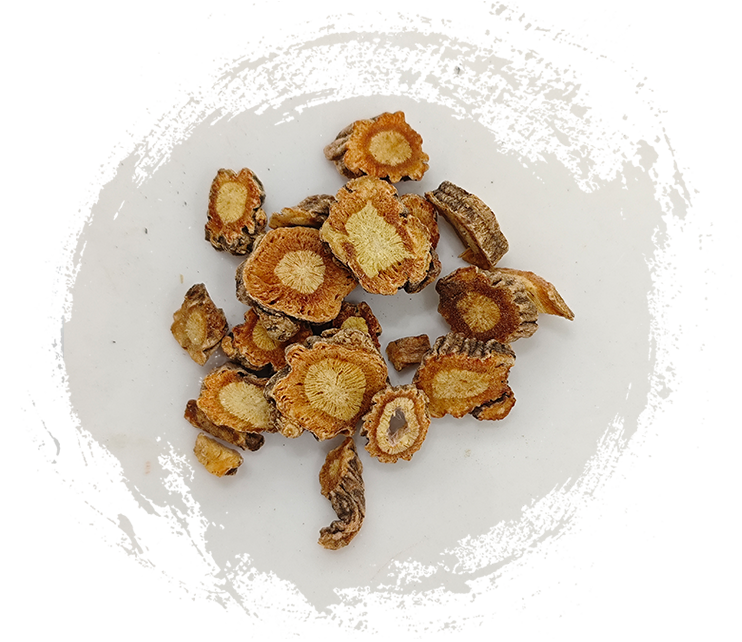 Saposhnikovia divaricata