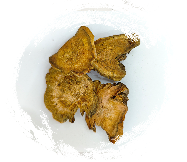 Une plongée profonde dans les utilisations des plantes médicinales en médecine traditionnelle chinoise