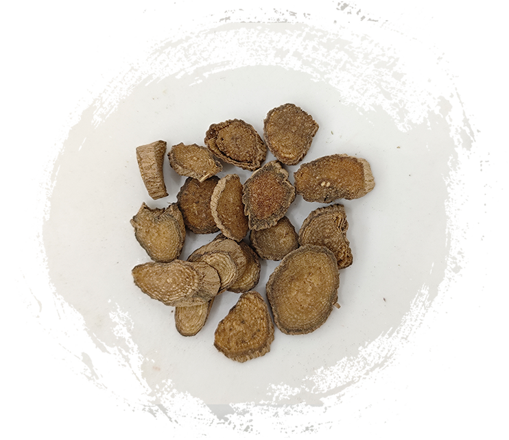 Achyranthes de Chuan