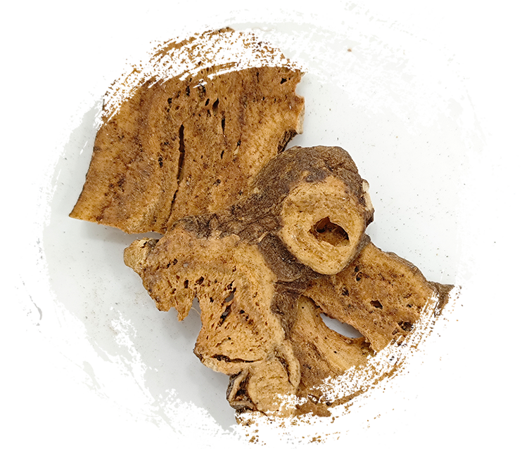 Atractylodes macrocephala grillé