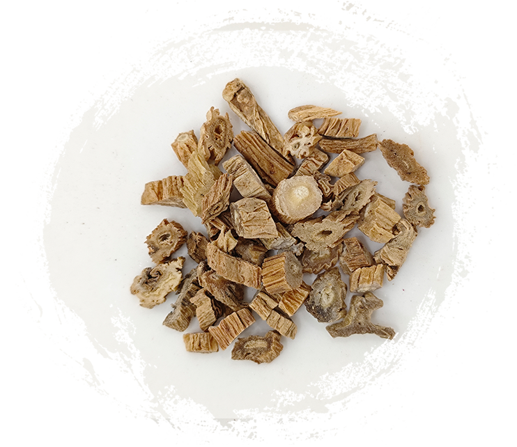 Stemona japonica (Fleur) Miq.