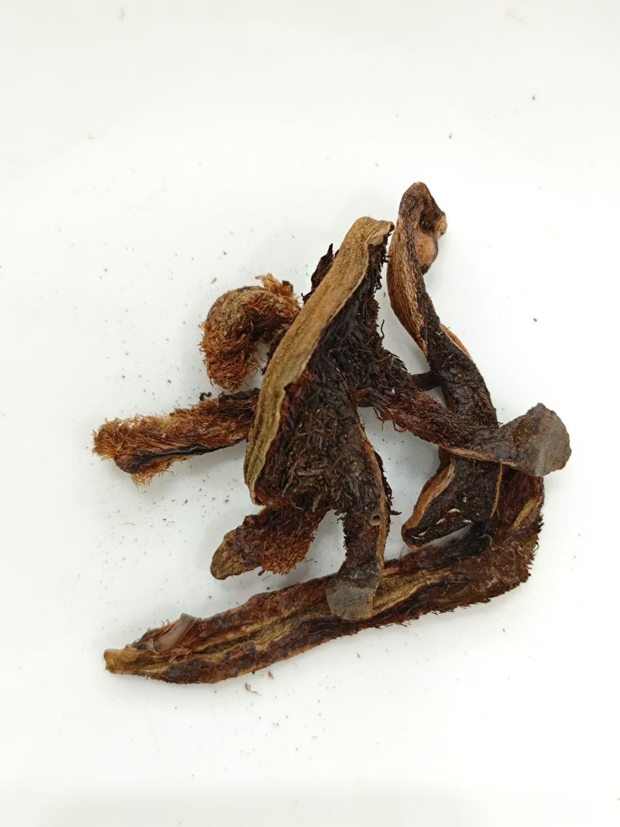 Réparation des fragments d'os