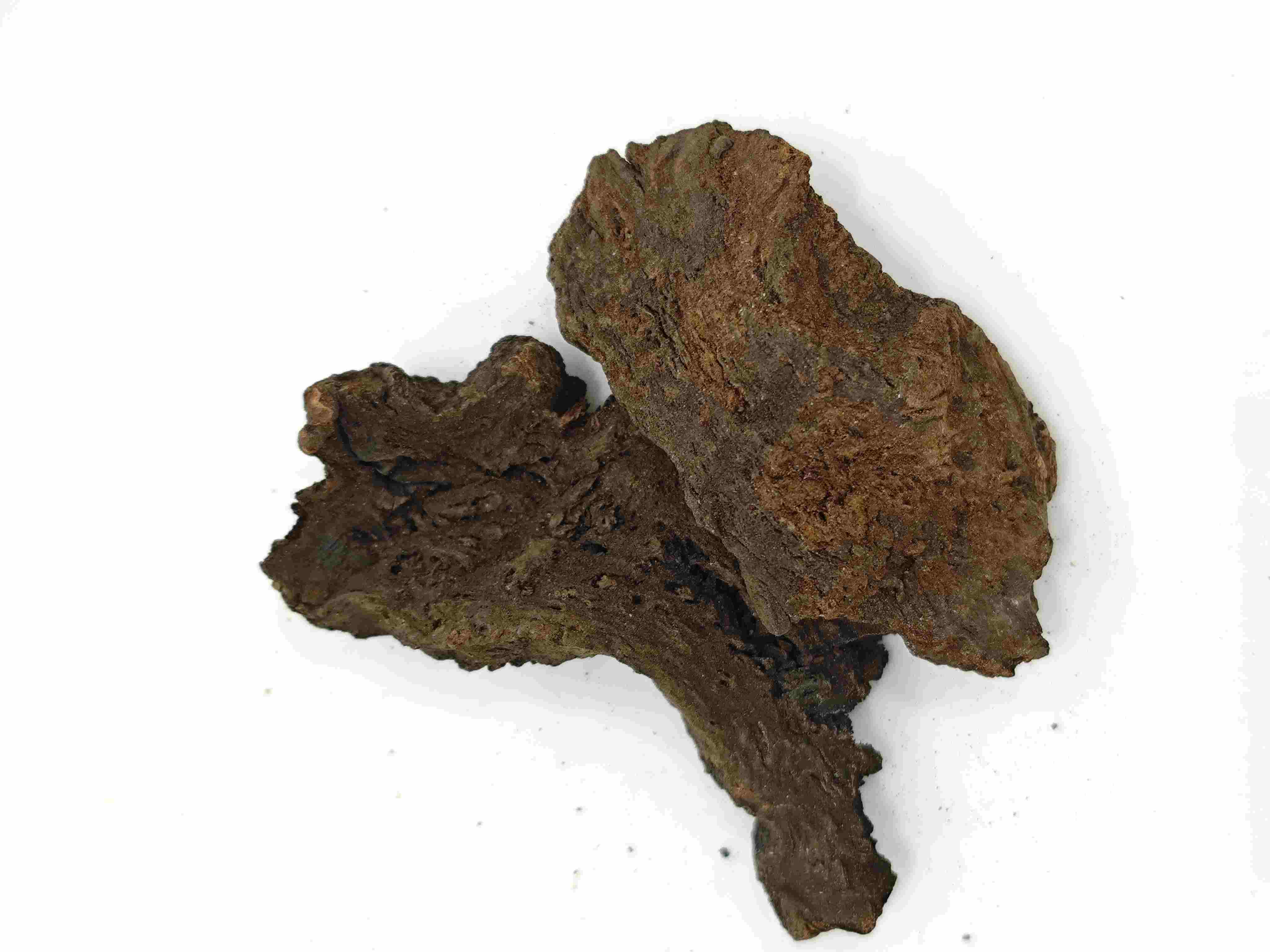 Rhubarbe préparée avec du vin, Jiu Dahuang