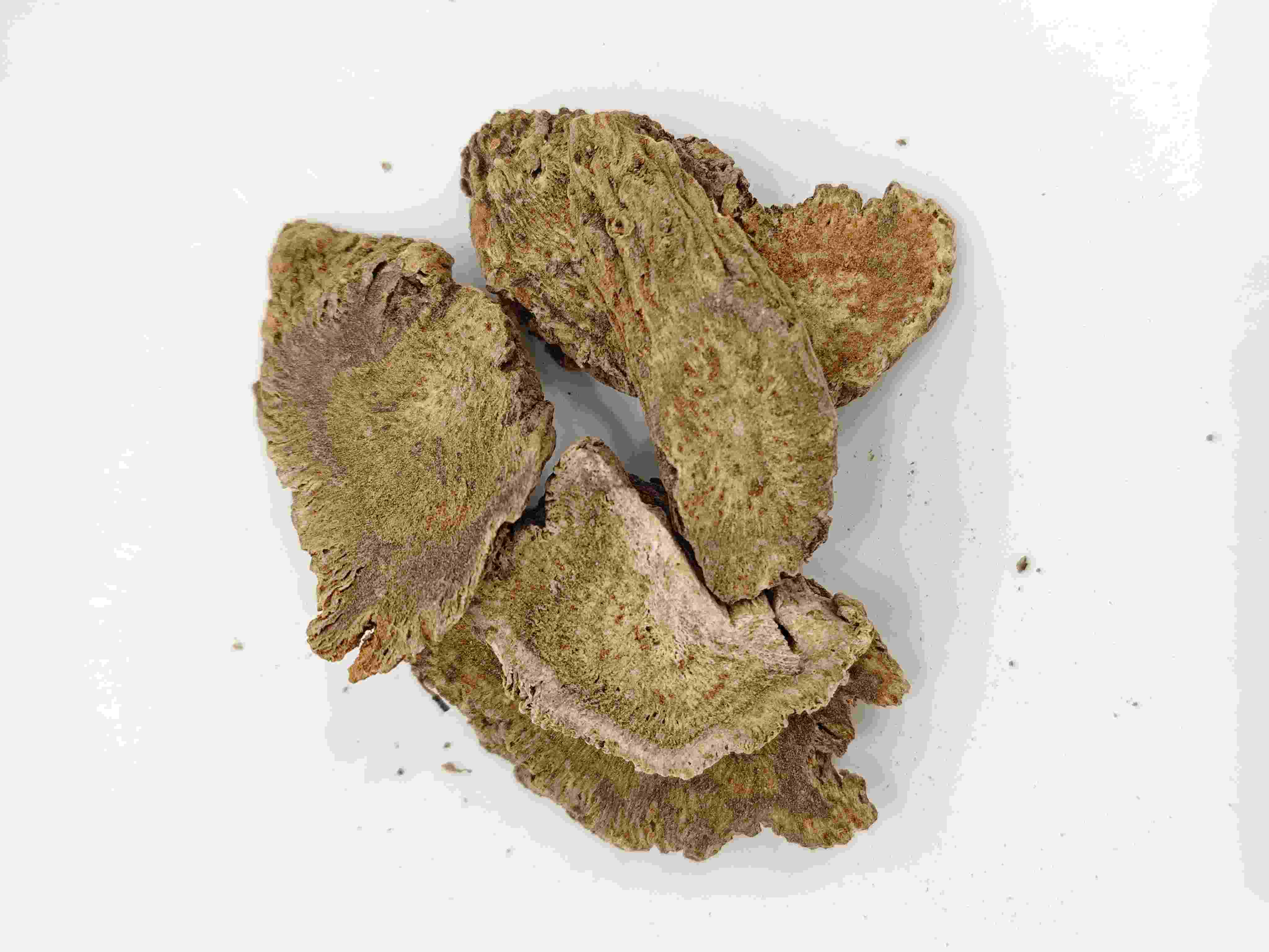 Cosstus Root, Myxiang