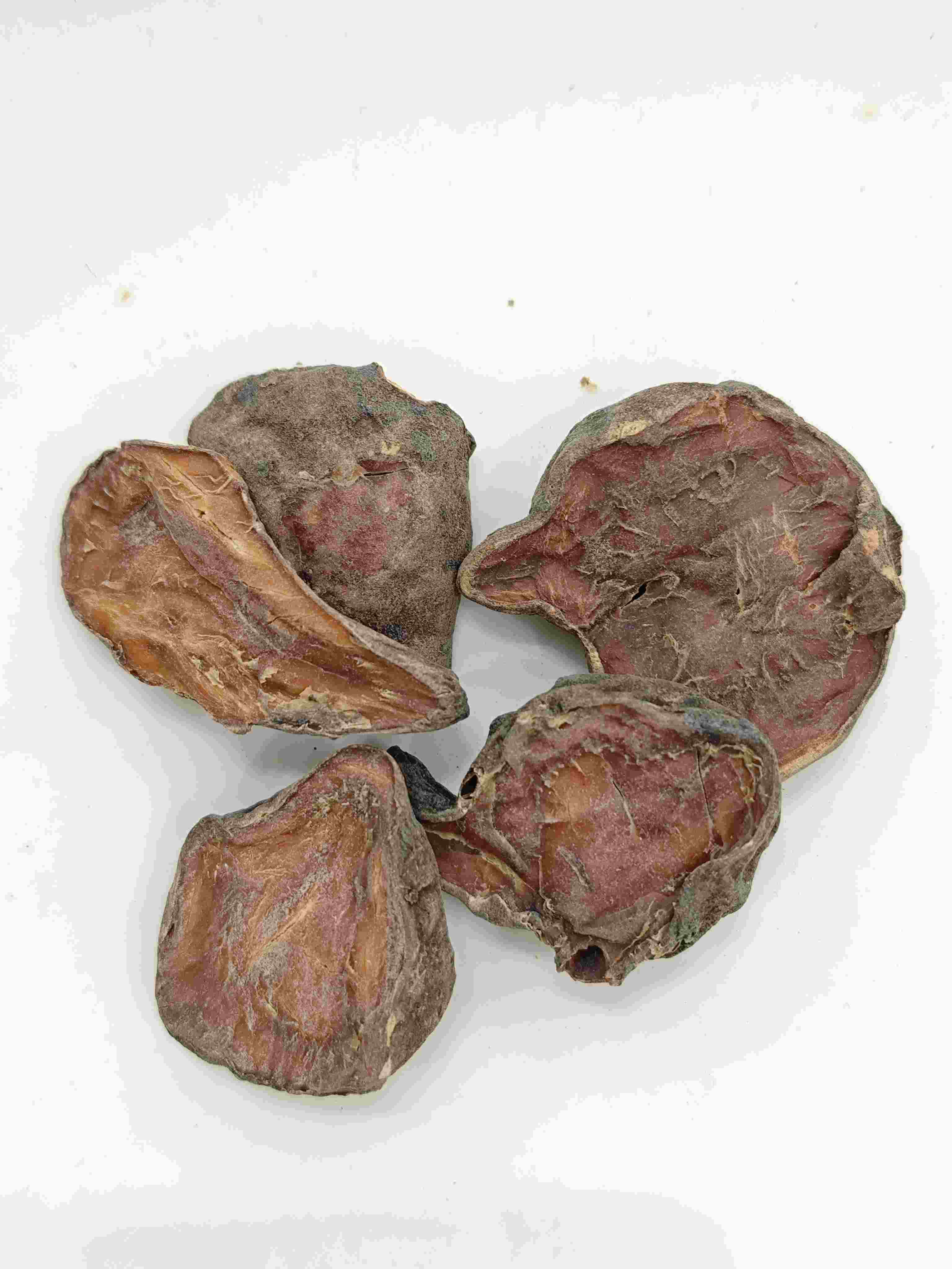 Slice d'aconite préparée, Paofupian