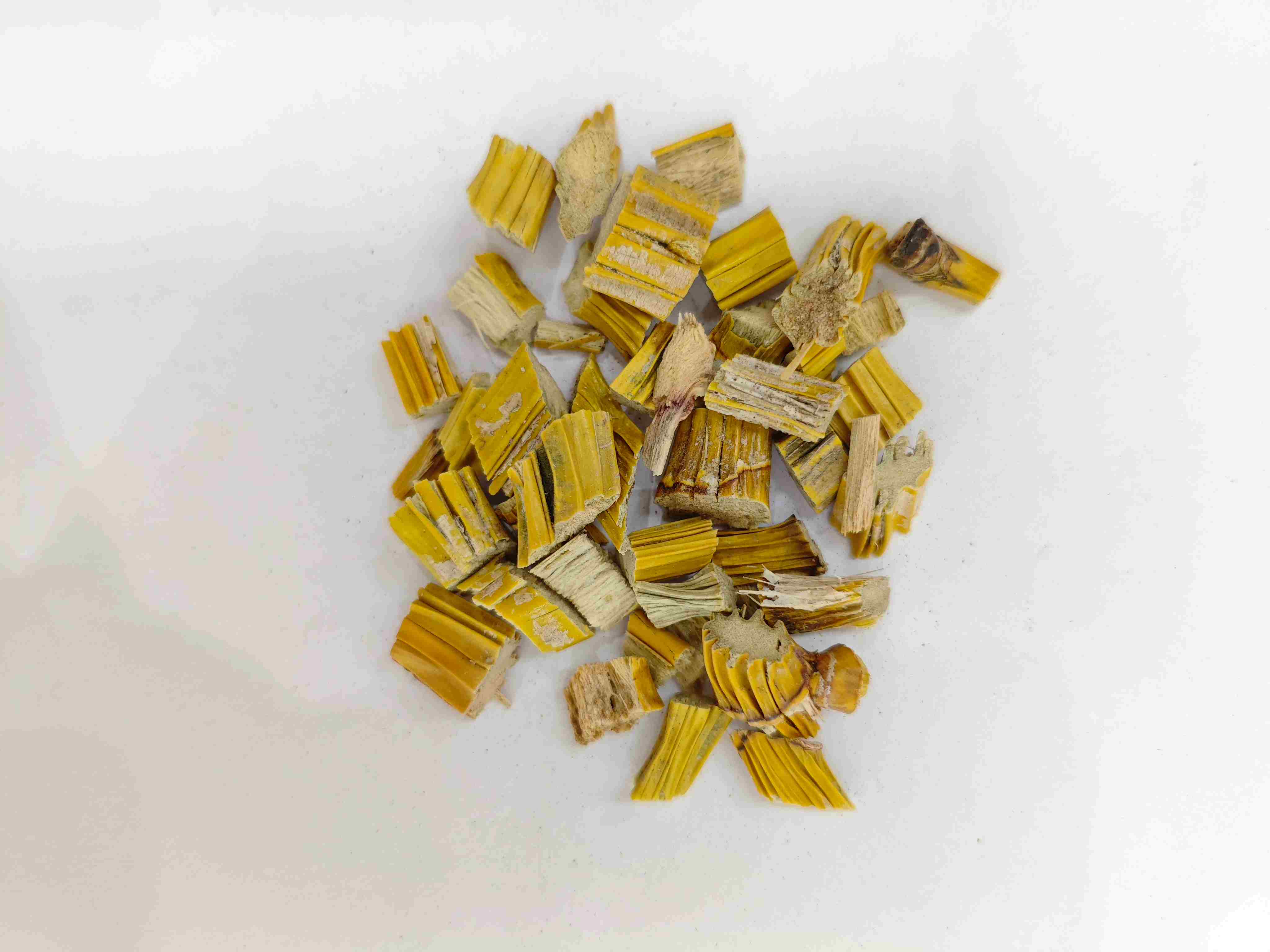 Tide dendrobium (shihu)