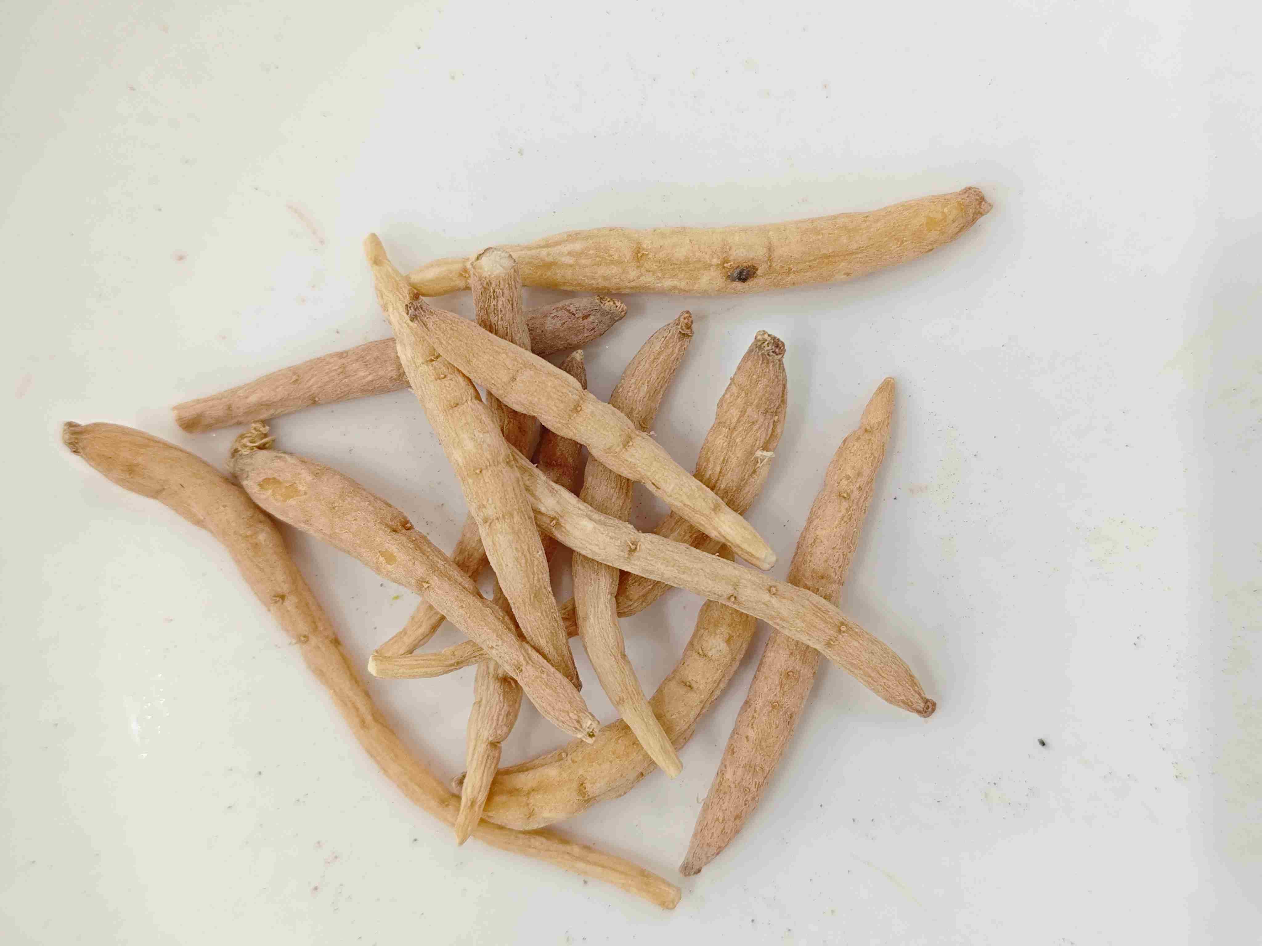 Pseudostellaria hétérophylla (Taizishen)