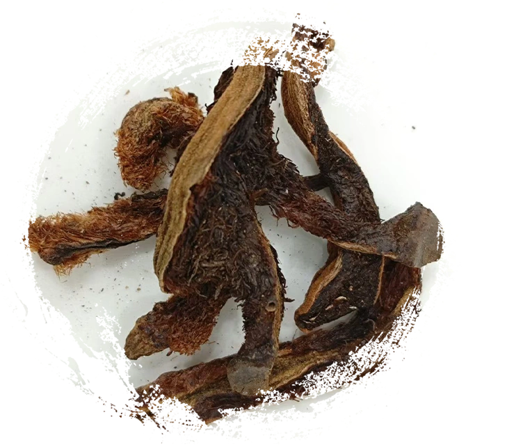 Réparation des fragments d'os