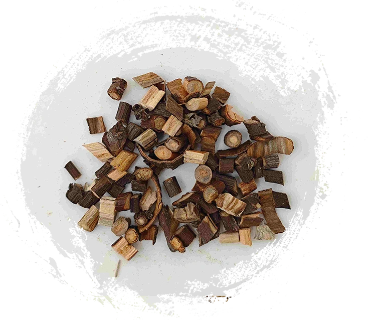 Brindille à la cannelle