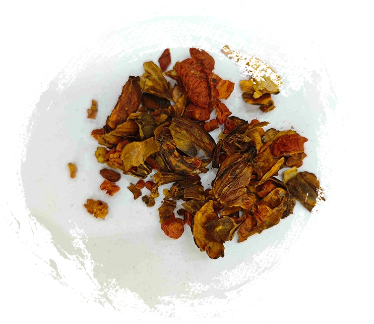 Gardenia brûlé, Jiaozhizi