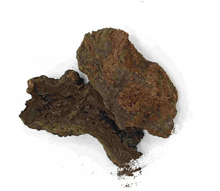 Rhubarbe préparée avec du vin, Jiu Dahuang