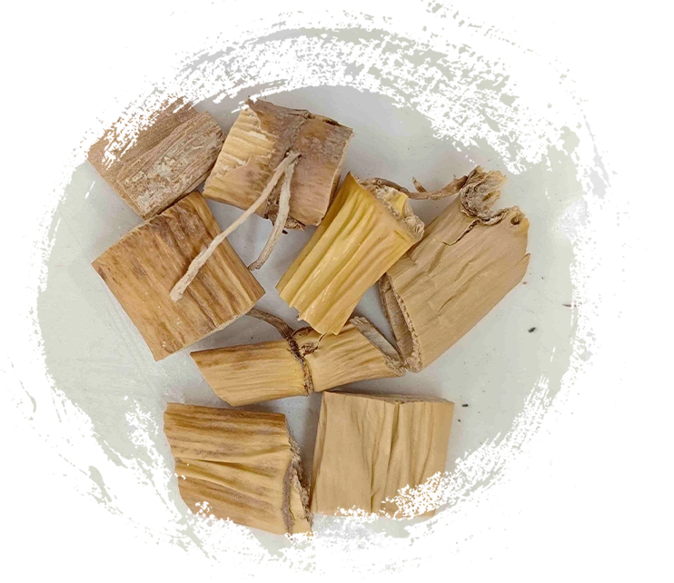 Rhizome à lames, lugen