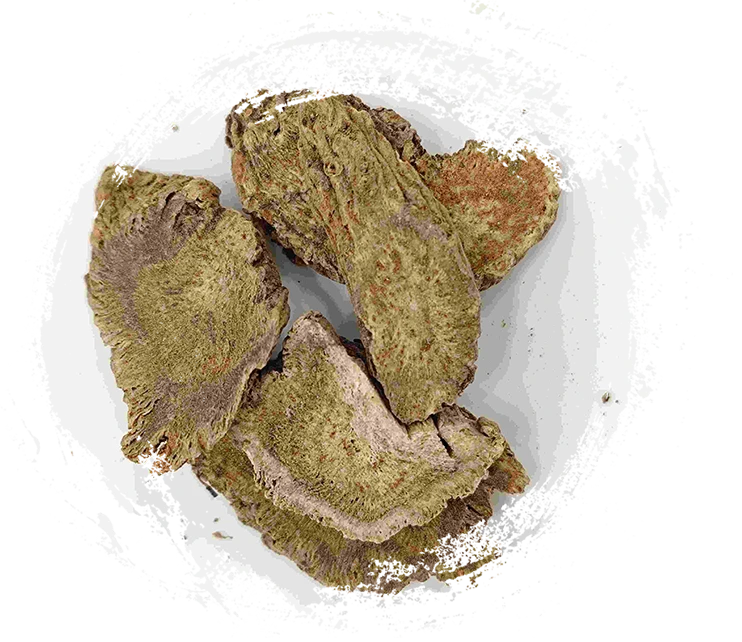 Cosstus Root, Myxiang