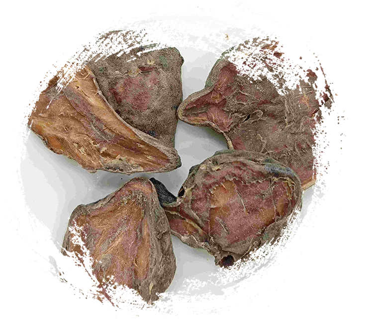 Slice d'aconite préparée, Paofupian