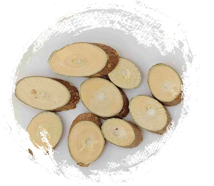 Branche de mûrier (Sangzhi)