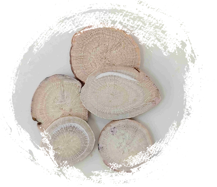 Racine de pivoine blanche (Sheng Baishao)