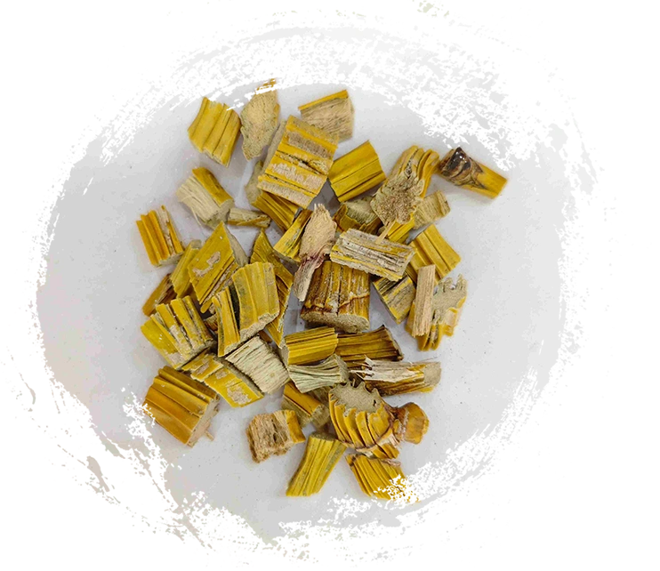 Tide dendrobium (shihu)