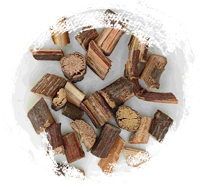 Polygonum multiflorum tige (Shouwuteng)