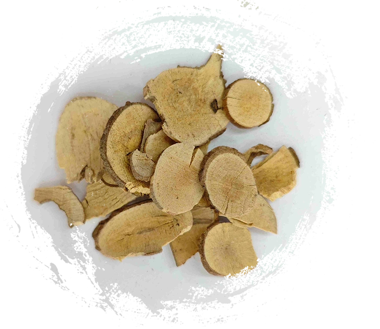 Lindera Root (Wuyao)