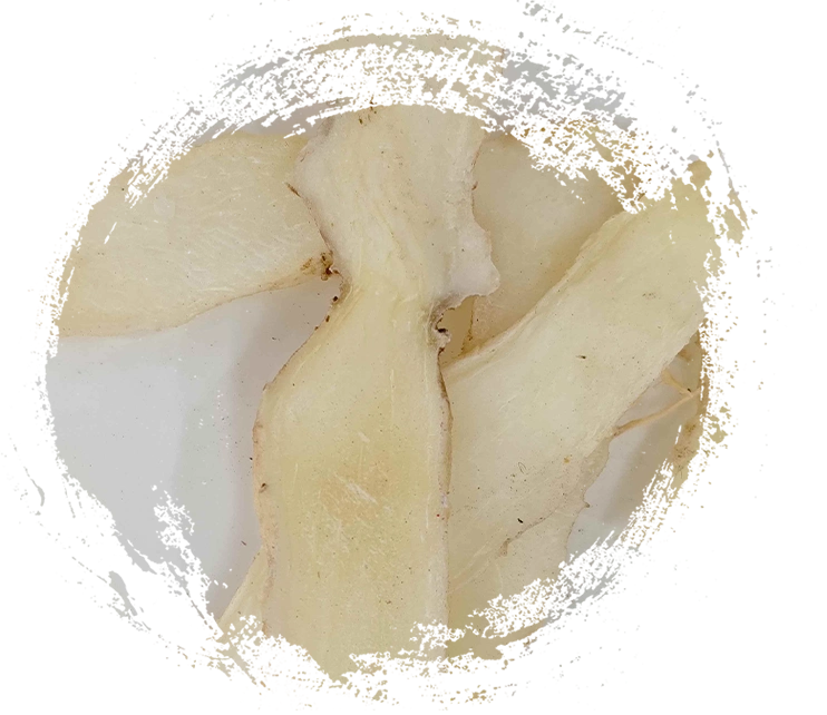 Sceau de Salomon (Yuzhu)