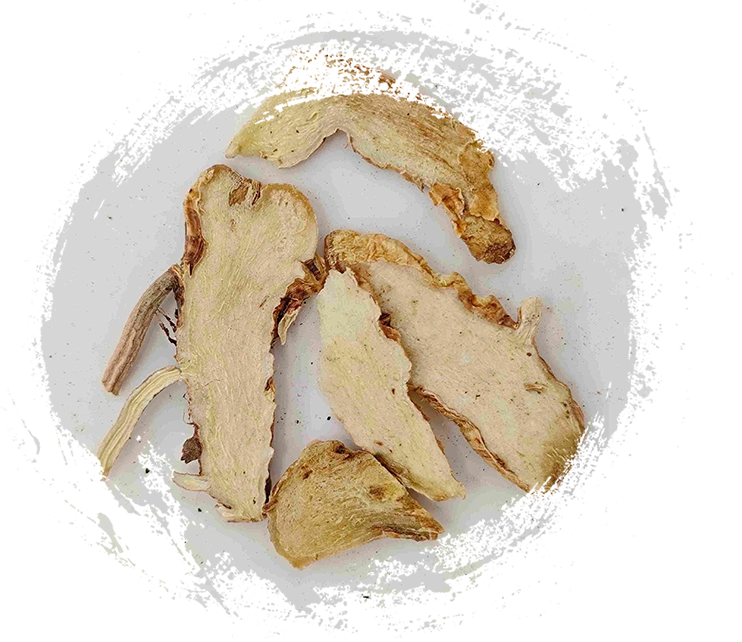 Rhizome Anemarrhena (Zhimu)