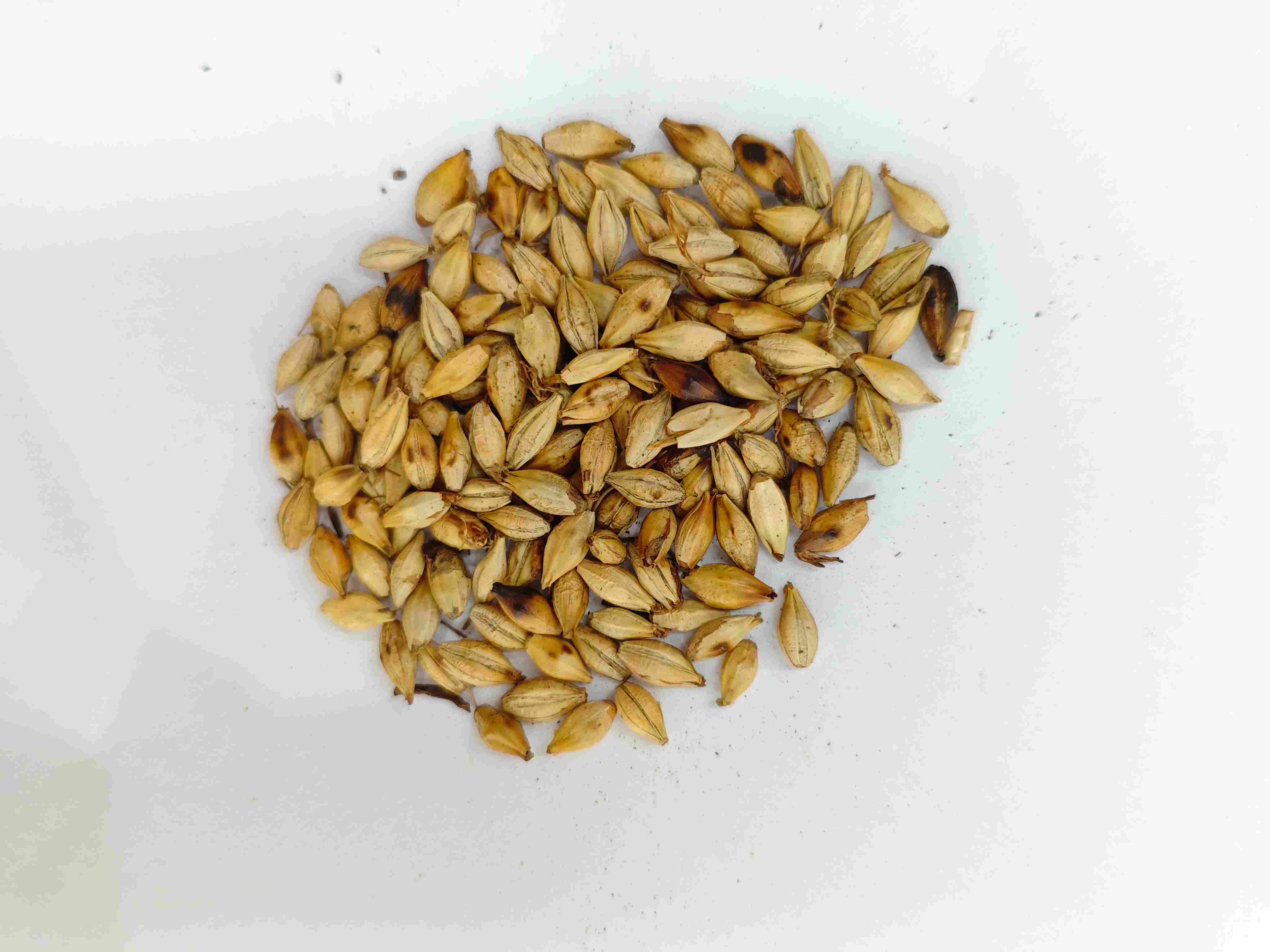 Malt d'orge rôti (chǎo mài yá)