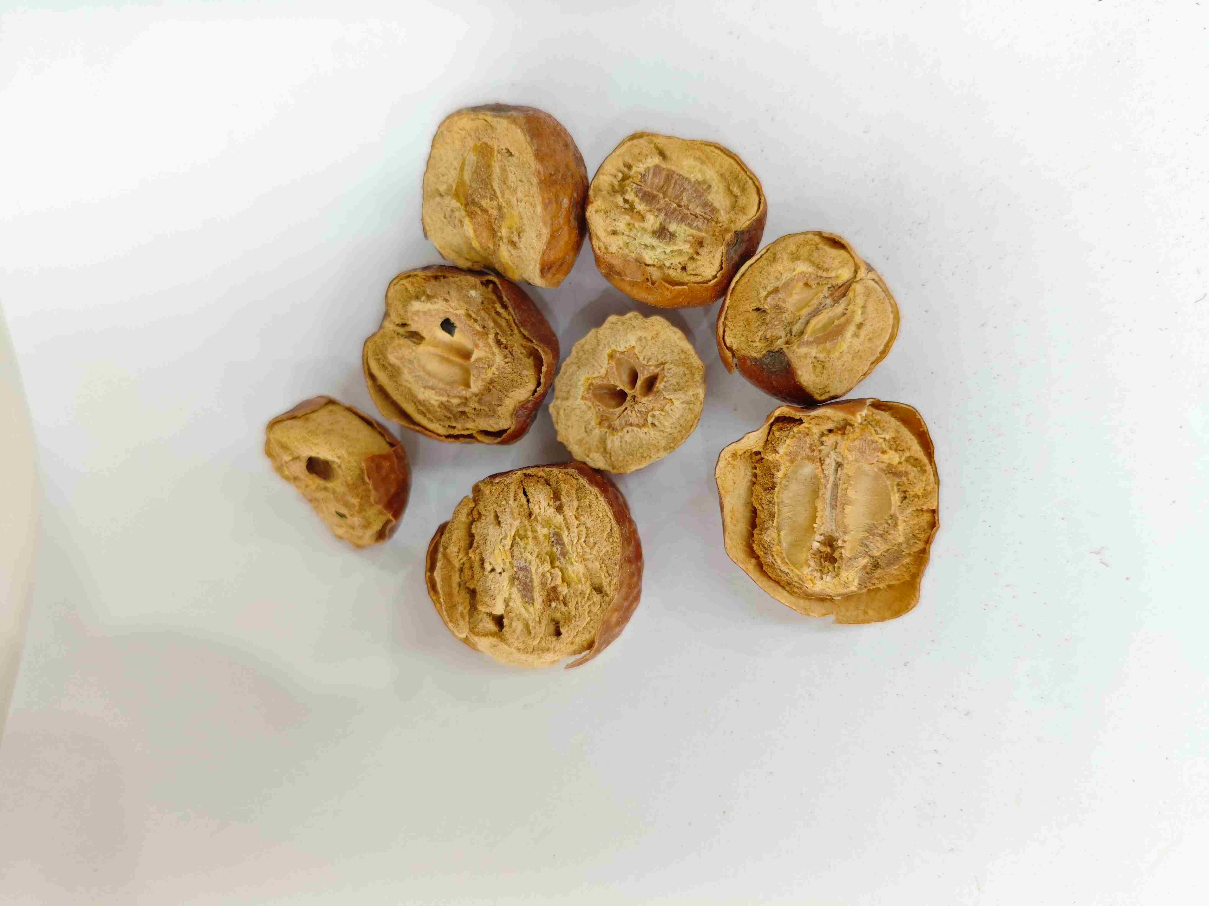 Fruit toosendain (Chuān lián zǐ)