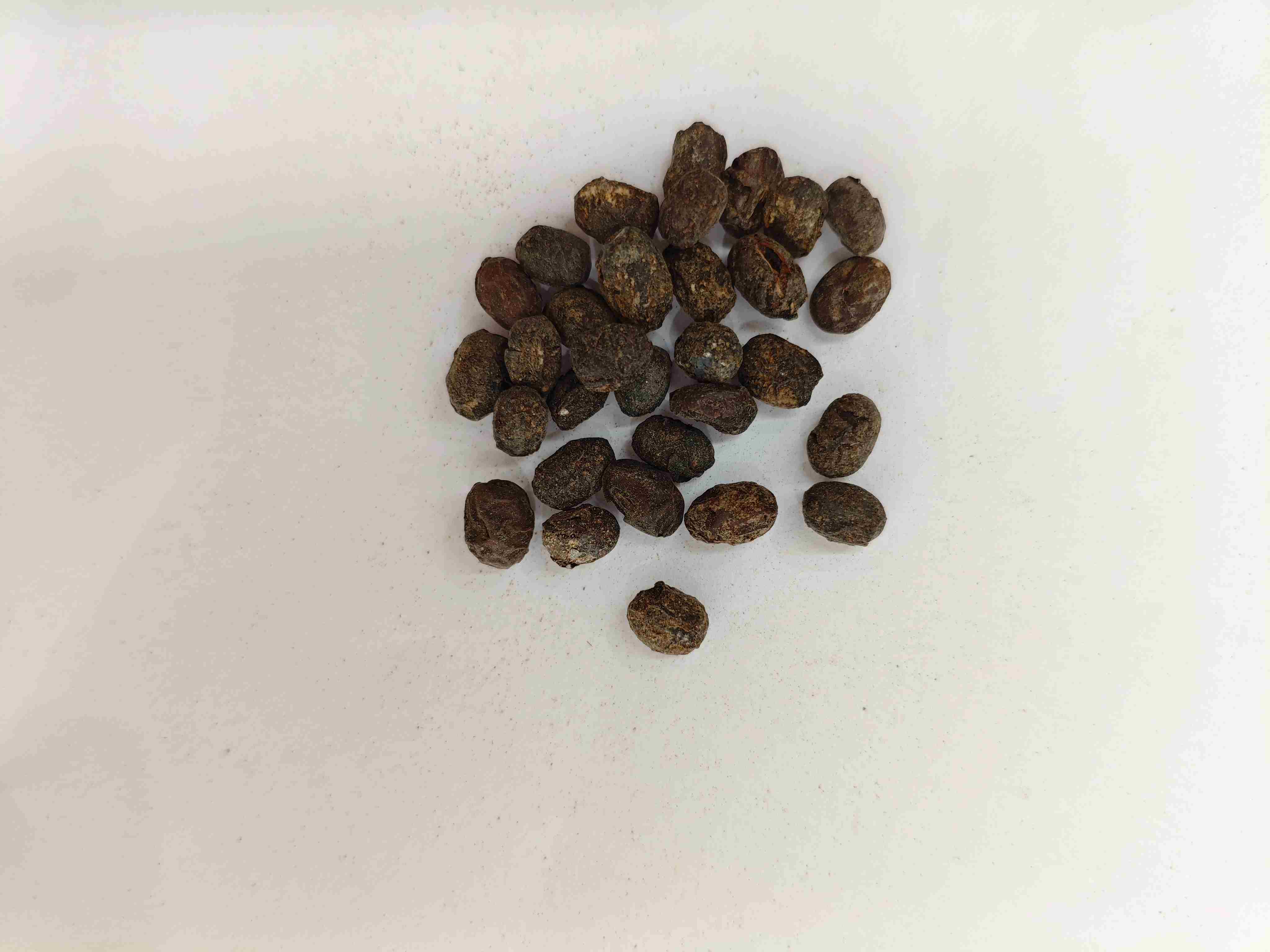 Soja fermenté (dàn dòu chǐ)