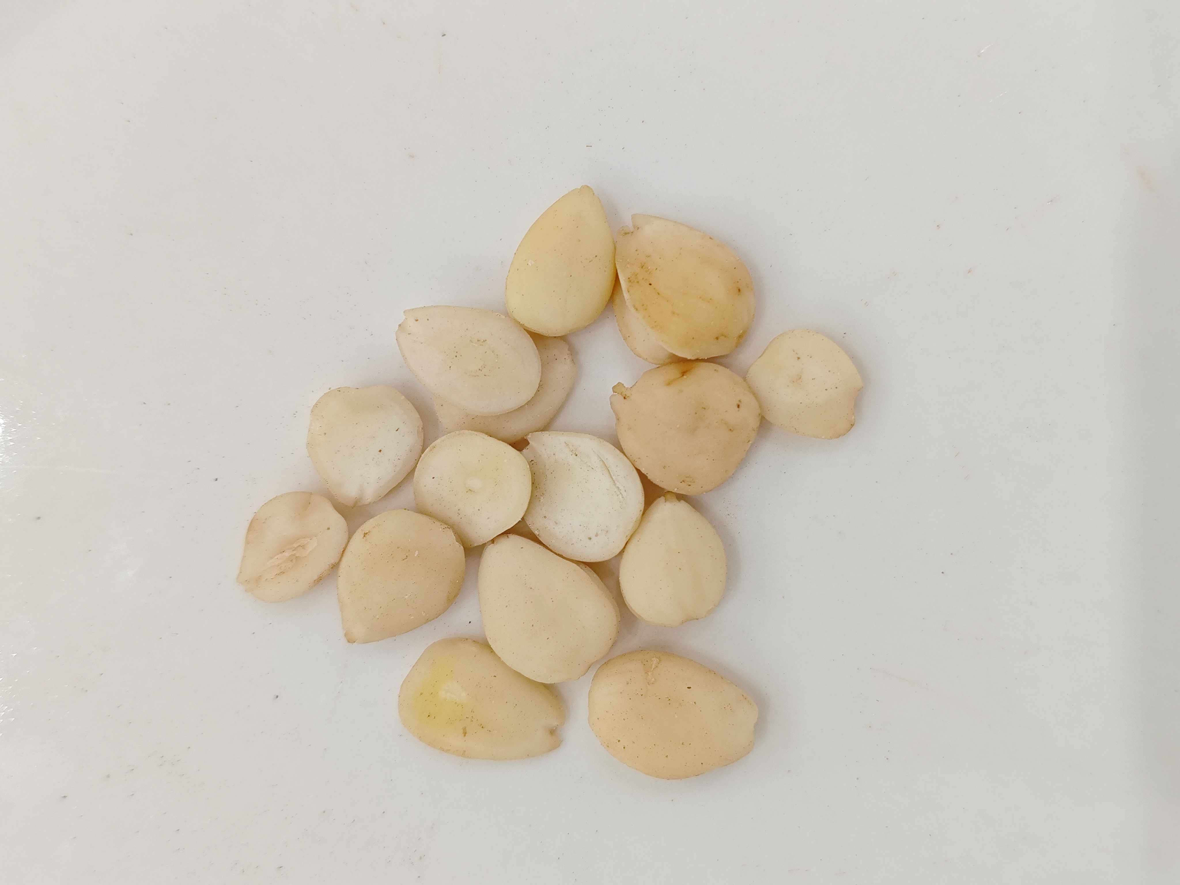 Graine d'abricot amère (kǔ xìngrén)