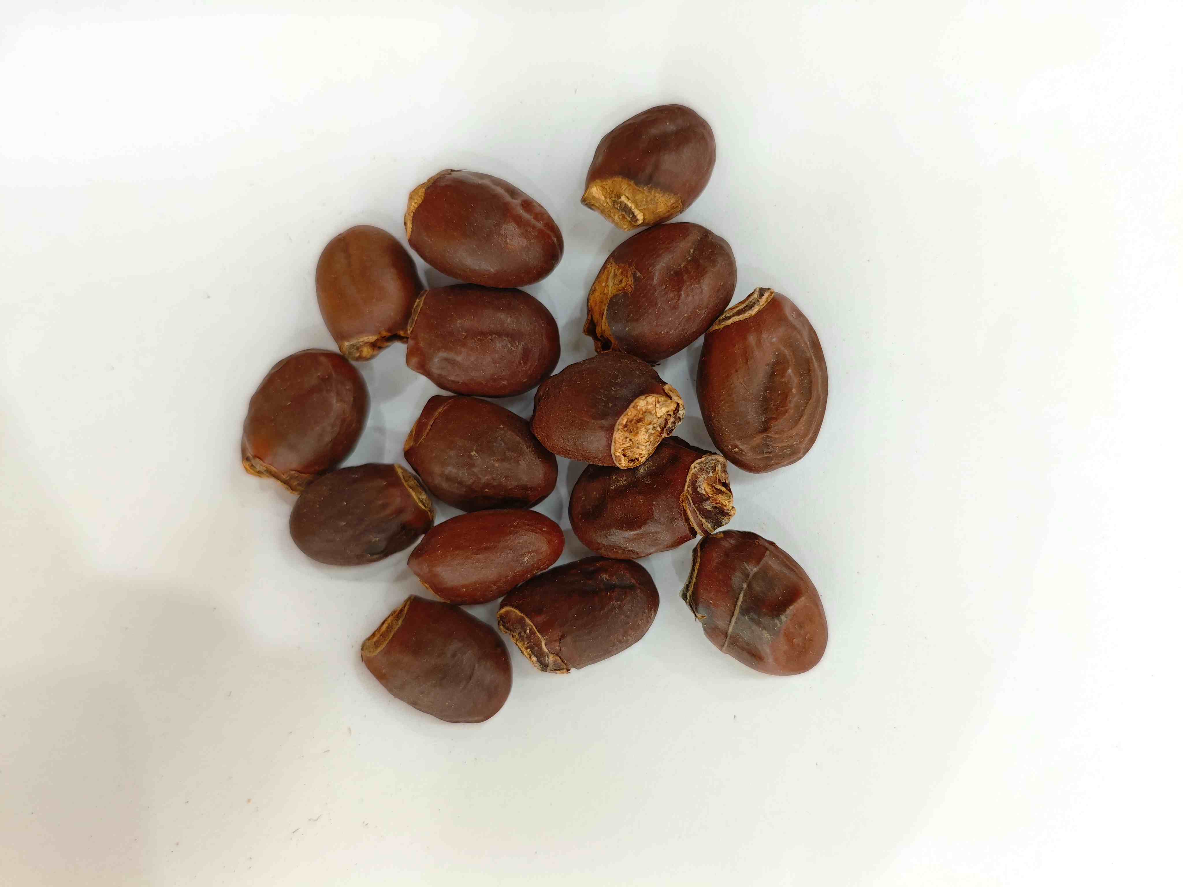 Graine de litchi (lìzhī hé)