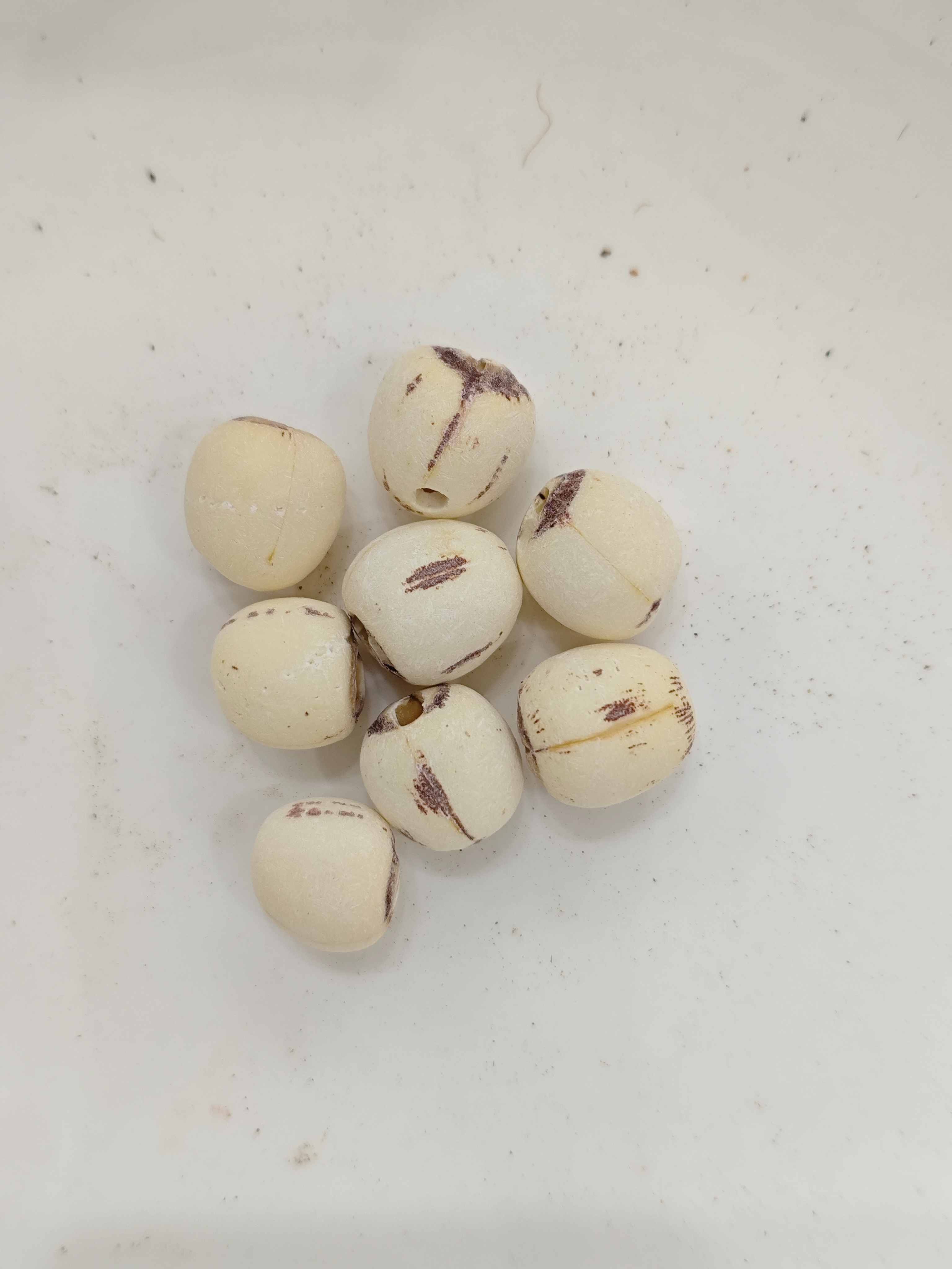 Graine de lotus (liánzǐ)