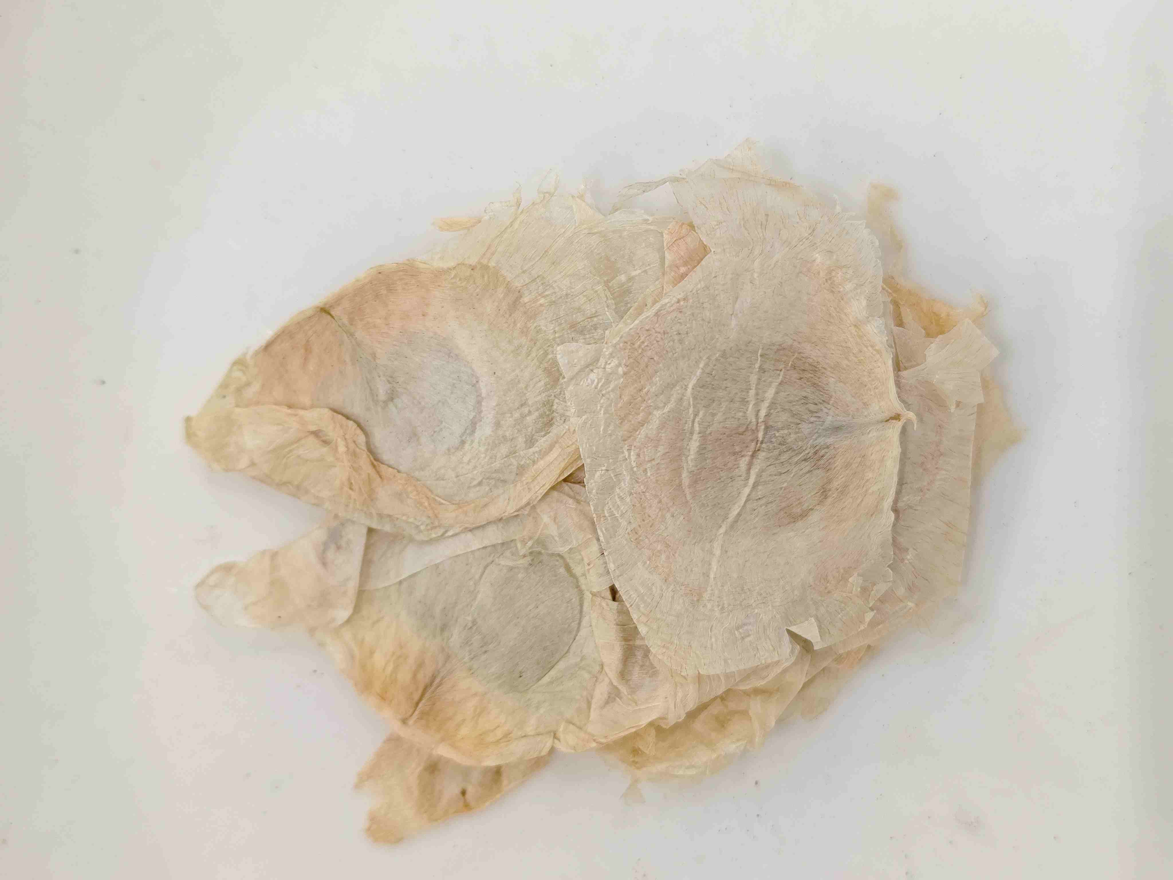 Écorce d'arbre à papillons (Mù Húdié)