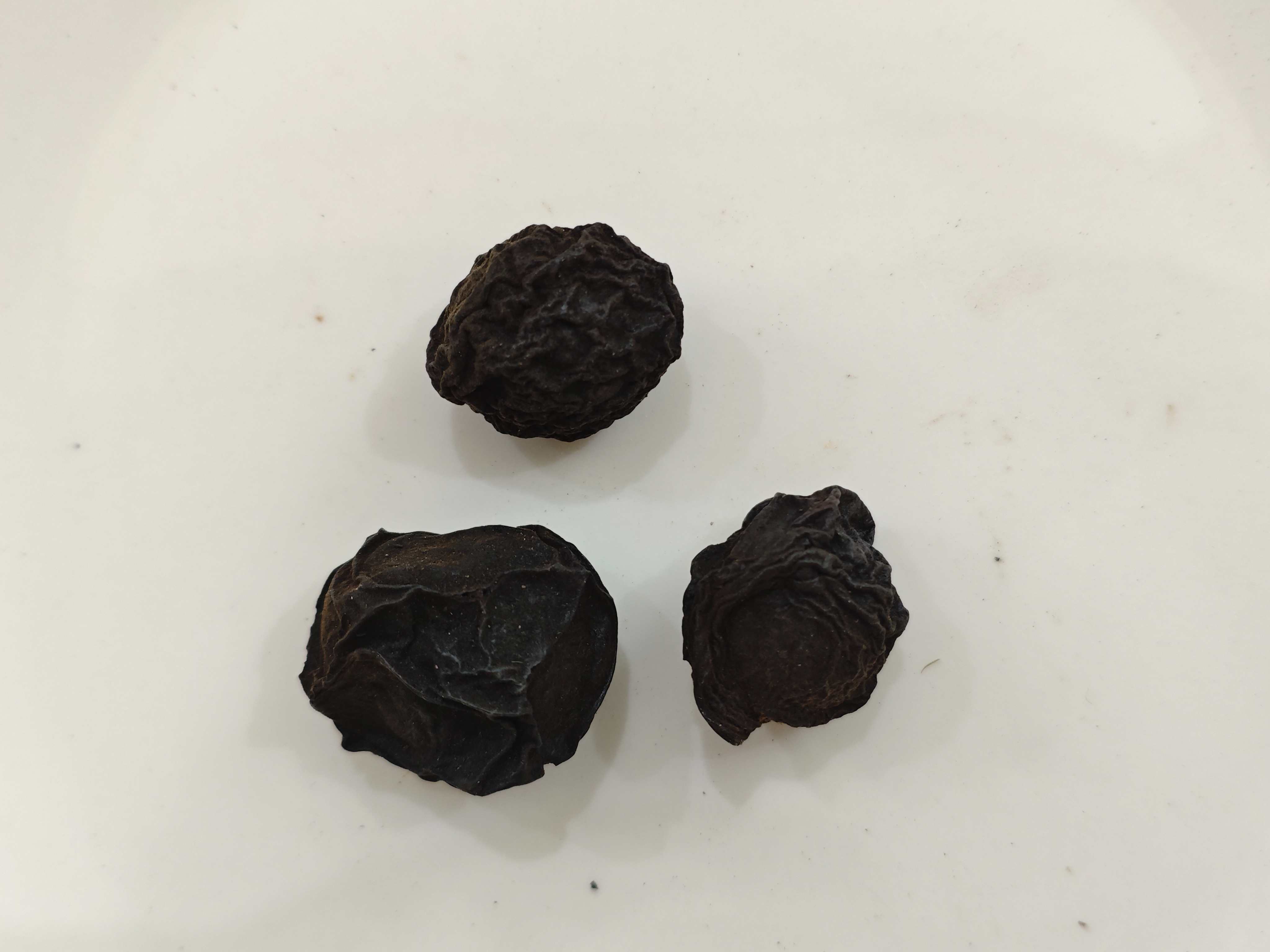 Plum chinois (Wūméi)