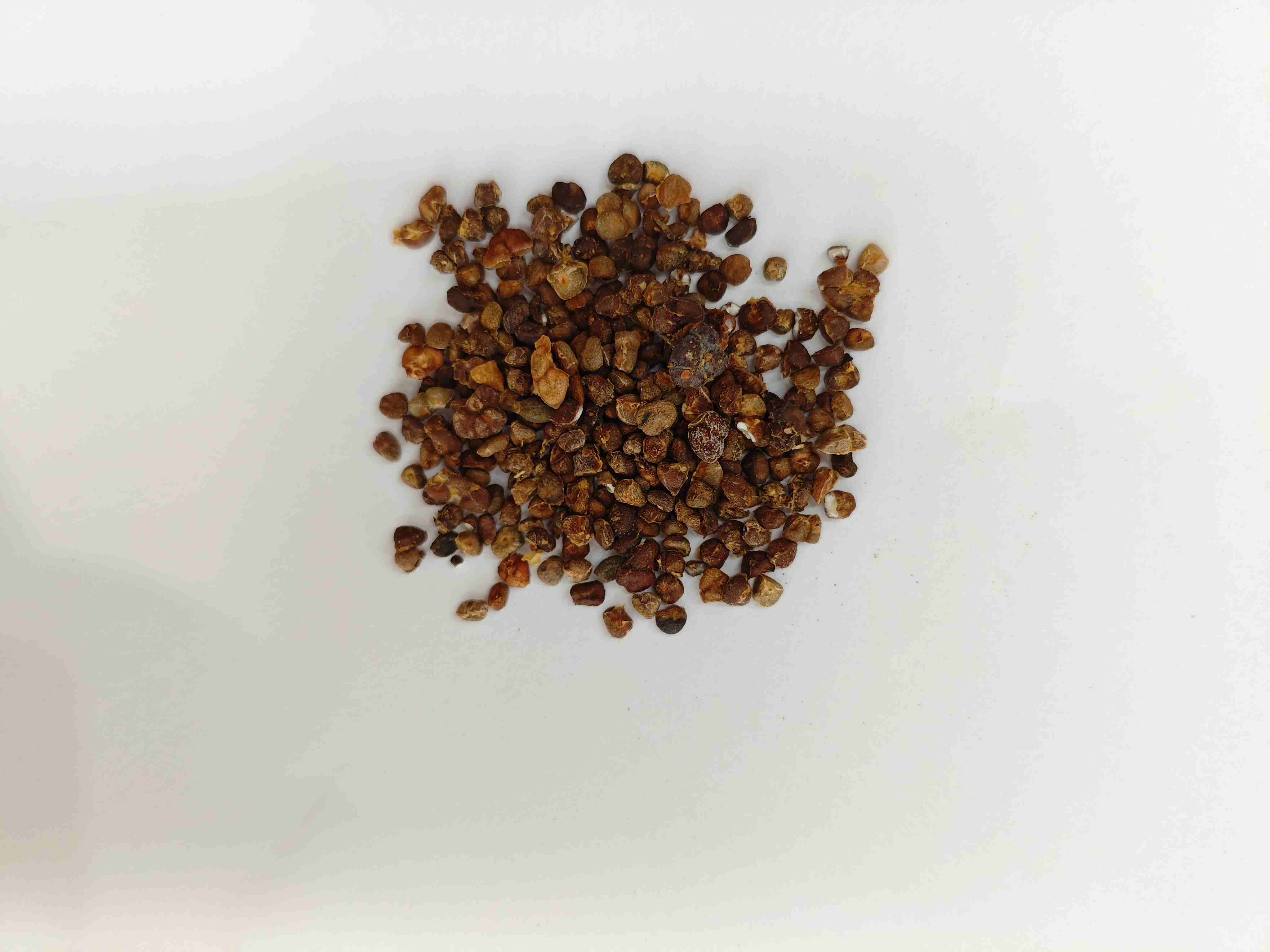 Lily de gingembre chinois (yìzhì)