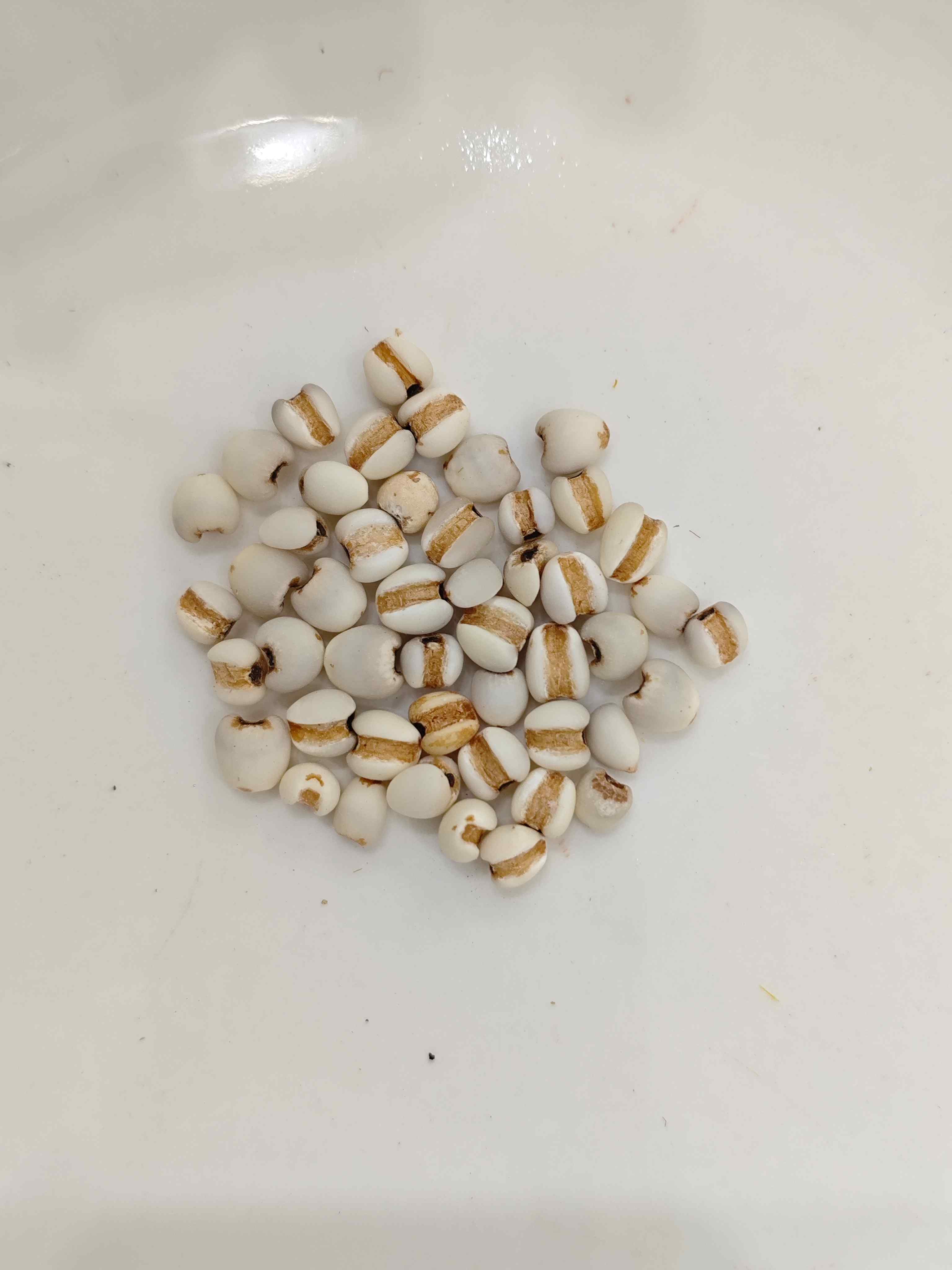 Coix Seed (Y&igrave;yǐr&eacute;n)