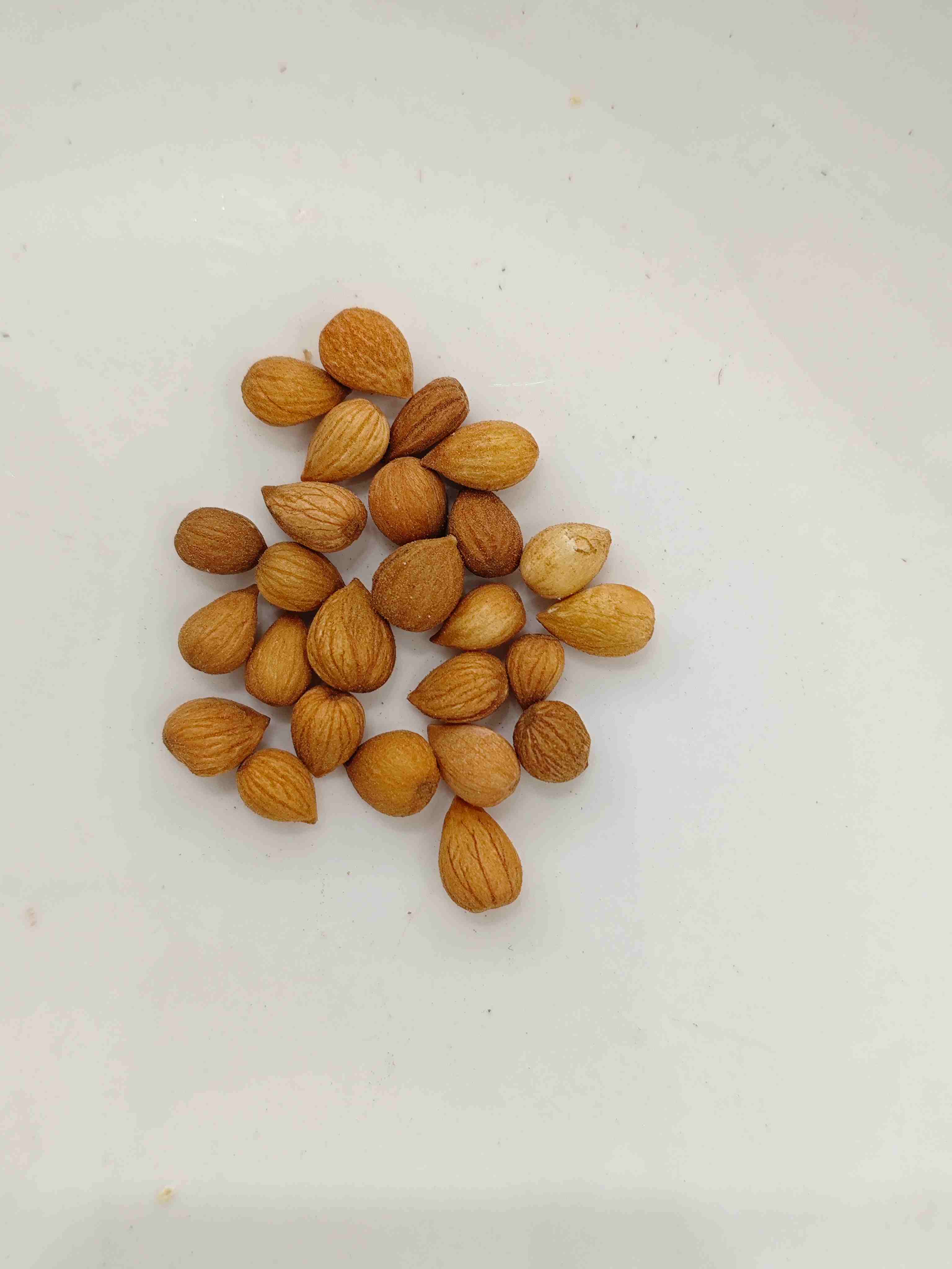 Prunus Seed (Yù lǐ RÉn)