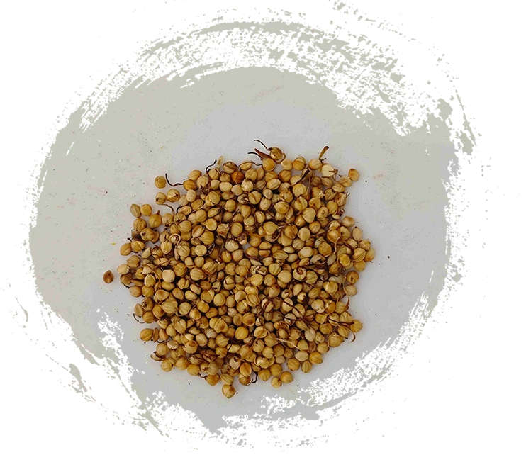 Choux rôti (chǎo gǔ yá)