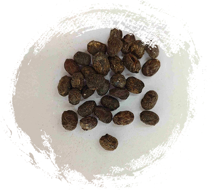 Soja fermenté (dàn dòu chǐ)