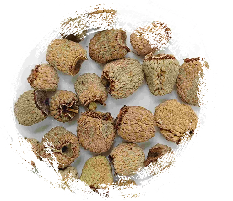 Framboise (fù pen zǐ)