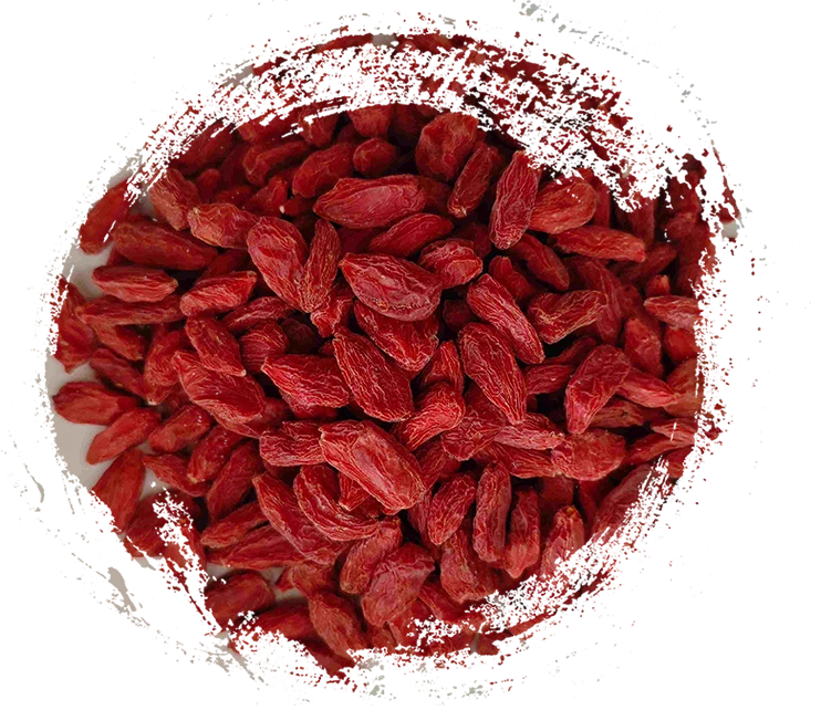 Les principales plantes médicinales chinoises et leurs bienfaits : des solutions naturelles pour la santé au quotidien