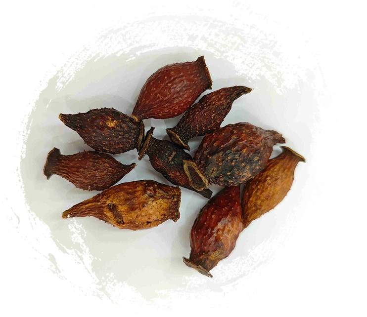 Framboise dorée (jīnyīngzǐ)