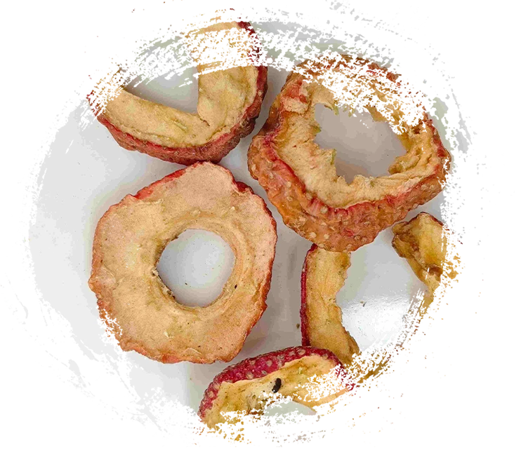 Comprendre les fonctions des plantes à base de plantes en médecine traditionnelle chinoise