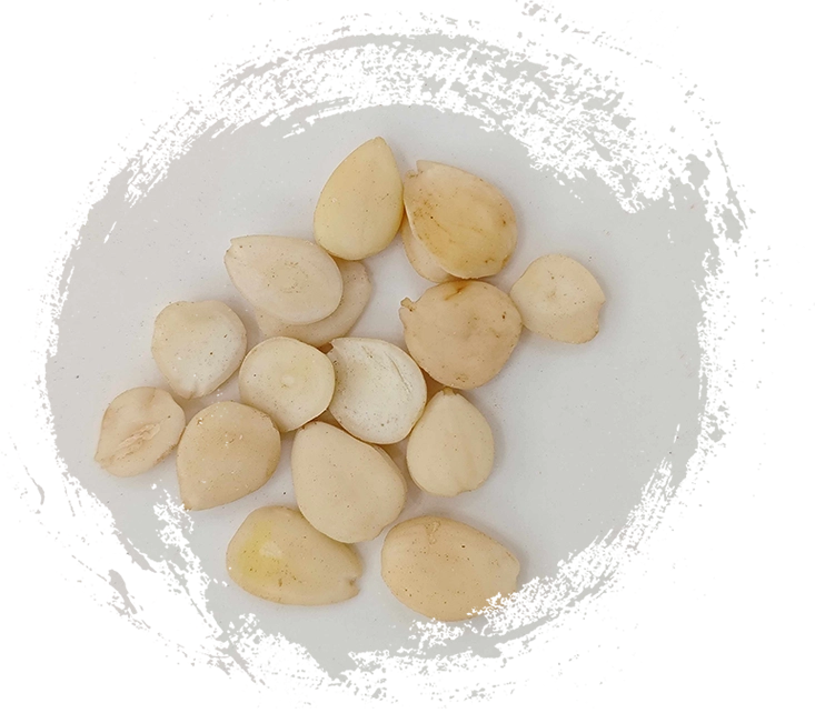 Intégrer les plantes de la MTC à votre routine bien-être&nbsp;: conseils pratiques et bienfaits