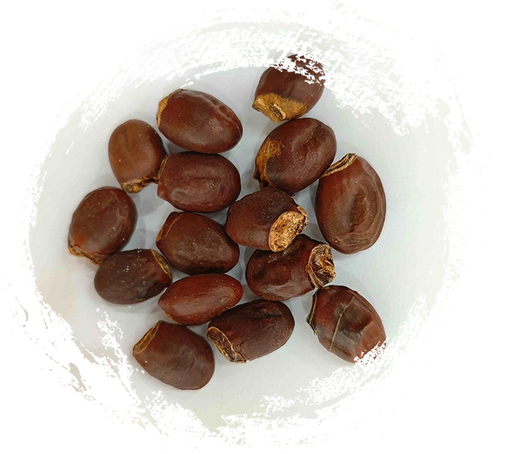 Graine de litchi (lìzhī hé)