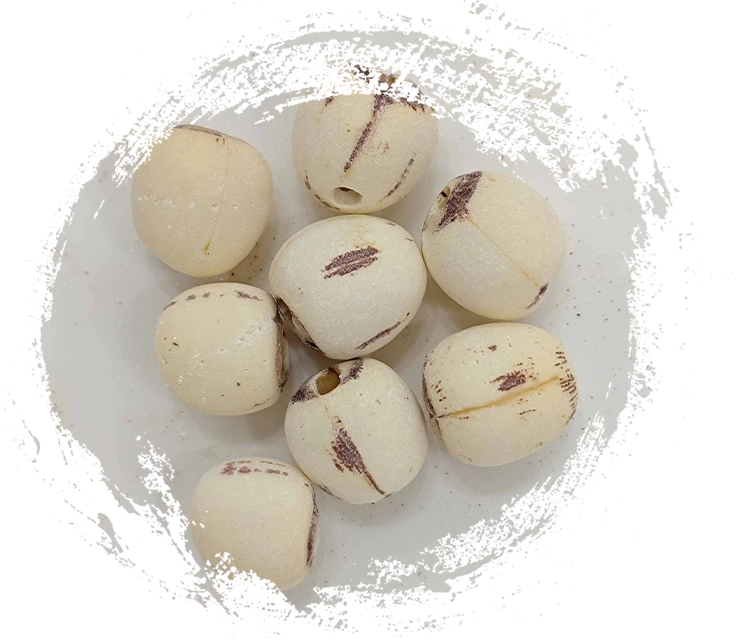 Graine de lotus (liánzǐ)