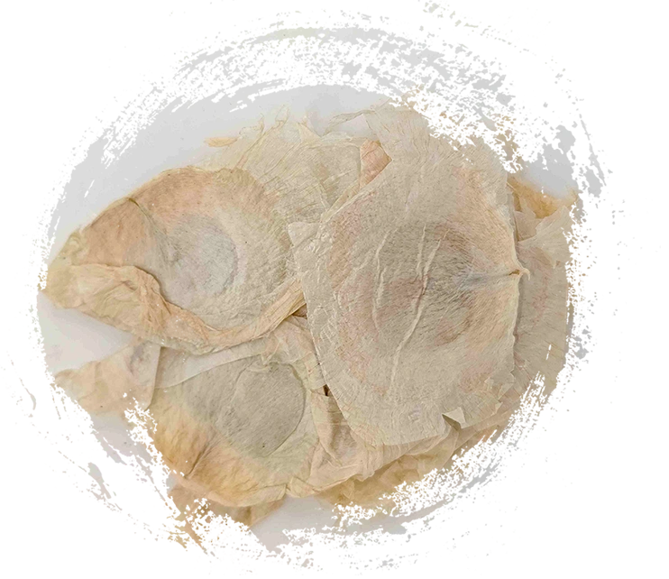 Écorce d'arbre à papillons (Mù Húdié)